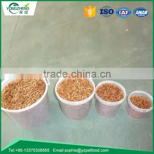 Dried Mealworm for Backyard Bird and Chicken thumbnail-4