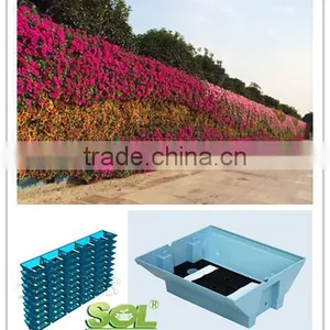 2015 SOL Colored PLASTIC Vegetable Container Automatic Watering Pot thumbnail-5