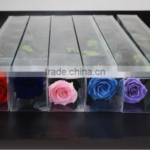 Fresh Cut Flowers Roses Long Lasting Big Rose Flower With Stem thumbnail-1