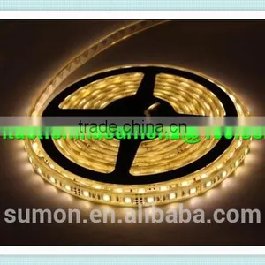 China Supplier SMD Holiday LED Lighting 110 220V 60leds/m Dmx Rgb Led Strip Light thumbnail-2