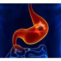 Pepsin thumbnail-2
