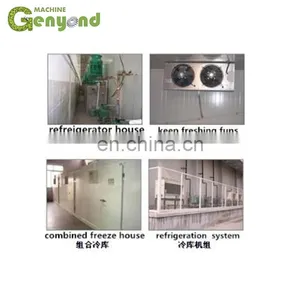 Comprehensive Freezing/Cooling/cold/frozen/referate Warehouse/room/charmb/house/space thumbnail-2