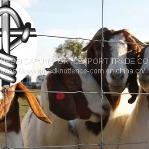 Height Tensile Fixed Knot Goat&sheep Wire Fencing thumbnail-1