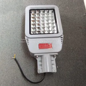 HRD9 Maintenance-free Explosion-proof LED Road Lamp High Efficiency Explosion-proof Street Lamp Pole thumbnail-5