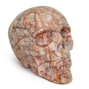 Common Skulls thumbnail-1