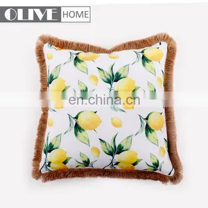2018 Hot Selling Chair Office Car Outdoor Cushion Cover Decorative Cushions With Tassels Trimmings thumbnail-2