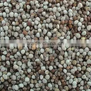 Organic White Perilla Seeds thumbnail-1