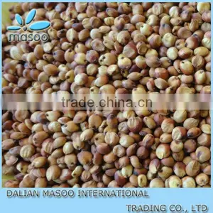 White Sorghum Seeds thumbnail-1
