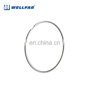 Wellfar 3116 Repairment Piston Ring For Caterpillar 3116 Engine Parts thumbnail-3
