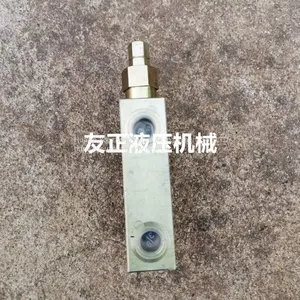 Hydraulic Parts Valve Block Balance Valve Lock Valve H5006N403S0300 Series Made in Ltaiy Youzheng NEM thumbnail-2