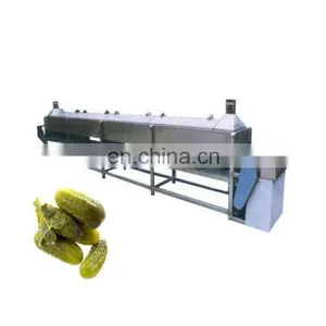 Factory Price Gherkin Cucumber Pickling Line thumbnail-1
