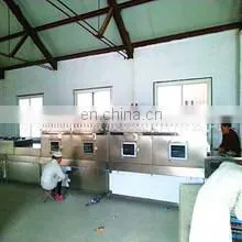Raisin Production Line thumbnail-5
