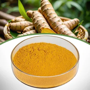Turmeric Extract thumbnail-1