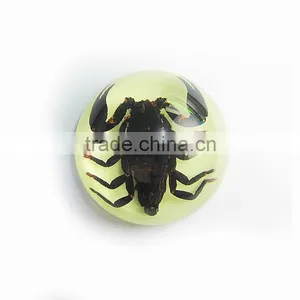 Promotional Gifts 64mm Semicircle Acrylic Home Decoration thumbnail-1