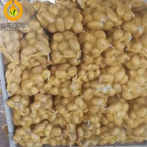 Fresh Potato thumbnail-1