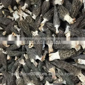 New Crop High Quality in Season Cultivating Morel Mushrooms Morchella thumbnail-2