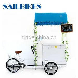 Mini Mobile Ice Cream Cart and Ice Cream Bike for Sale thumbnail-1