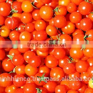 Pickled Tomatoes in 1500ml Glass Jar and 720ml Glass Jar. thumbnail-1