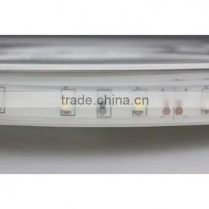 SDSLED IP68 60LED/m Warm White DC12V 3528 Waterproof LED Strip Light thumbnail-3
