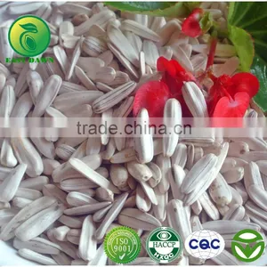Chinese White Sunflower Seed In Shell For Sell At The Best Price! thumbnail-1