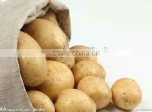 New Crop Spring Potato With Competitive Export Price thumbnail-1
