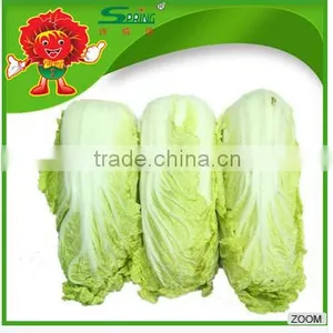 Cheap Cabbage thumbnail-1