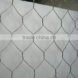 Pvc Chicken Coop Galvanized Wire Mesh thumbnail-2