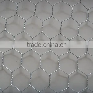 Electro Galvanized Wire Hexagonal Wire Netting for Chicken Fence and Poultry Cage thumbnail-1