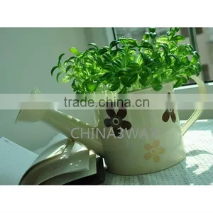 Circular Tinplate Watering Can / Planter Shower /Watering Pot thumbnail-1