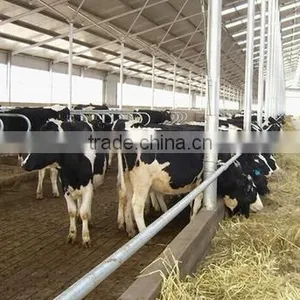Solar Mounting System Galvanized Steel Structure for Agricultural and Farm thumbnail-1