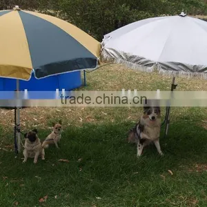 Fashional Pet Umbrella thumbnail-1