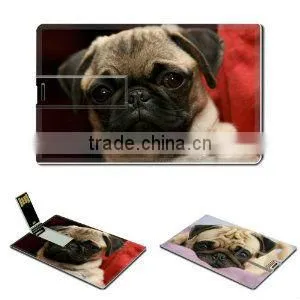 16GB Card Usb Flash Drive USB 2.0 Memory Stick The Pug Credit Card Size Customized Support Services Ready Gift Ideas thumbnail-1