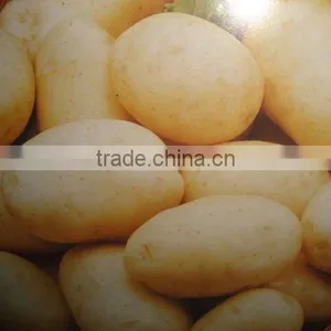 FRESH POTATO thumbnail-1