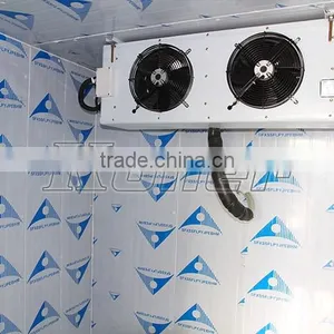 Koller Hot Sale Freezer Cold Room VCR30 for Fish and Meat Storage thumbnail-3