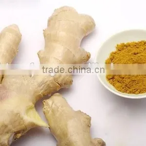 Ginger Root Powder thumbnail-4