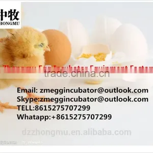 2016 Best Selling Turkey Egg Incubator Full Automatic 3872 Egg Incubator thumbnail-6