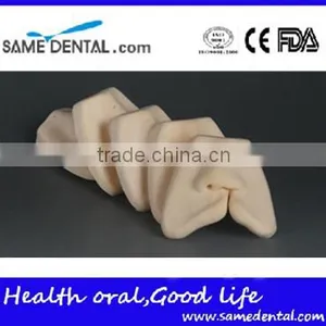 Dental Cleft Lip Suture Models DEA-33 thumbnail-1