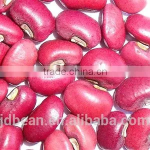 Crop 2015 New Crop Red Cowpea Beans thumbnail-2