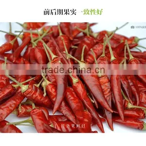 Hot Sale Hybrid Yellow Chili Pepper Seeds-Xin Shu thumbnail-4