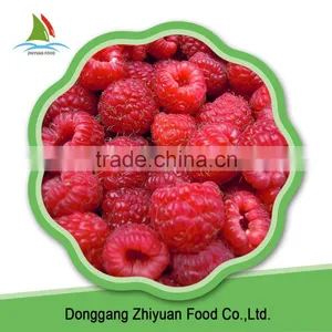 Chinese IQF Frozen Raspberry Crumble in Good Quality in Bulk thumbnail-6