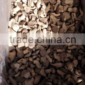 Top Quality China Mushroom With Good Price thumbnail-4