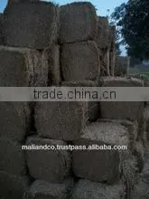 Mustard Straw thumbnail-1
