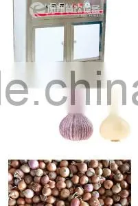 FX-128-2 Hot Sale Large Capacity Garlic Peeling Peeler Machine thumbnail-3