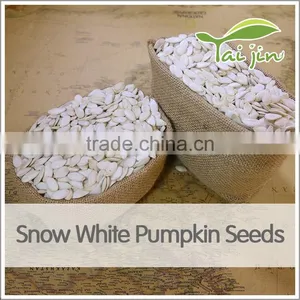Cheap Price Snow White Pumpkin Seed Export thumbnail-3