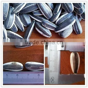 Free Samples Offered Wunflower Seeds Wholesale thumbnail-1