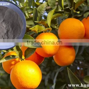 Gibberellin Amino Acids and Fulvic Acid Liquid Fertilizer thumbnail-4