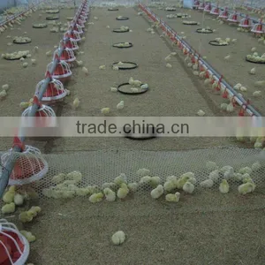 Automatic Broiler Pan Feeding System for Chickens thumbnail-4