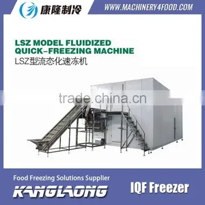 High Quality IQF Frozen Fruit Mango Machine With Good Price thumbnail-3
