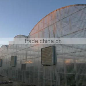 Multispan Greenhouse (Polycarbonate Valuview ROMA) thumbnail-1