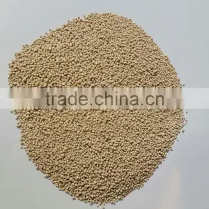 Lysine thumbnail-1